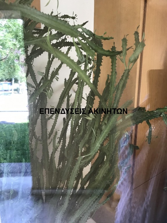 Μονοκατοικία 200 τ.μ. πρός πώληση, Χαλκιδική, Παλλήνη