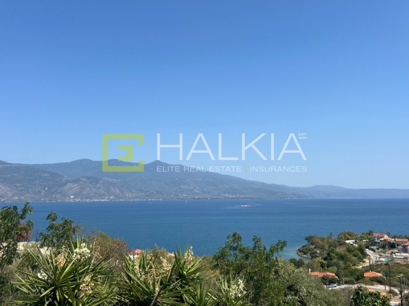 Οικόπεδο 618 τ.μ. πρός πώληση, Μαγνησία, Βόλος
