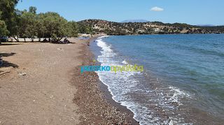 Αγροτεμάχια 2.034,23 τ.μ. προς πώληση, Ερμιόνη-thumb-3