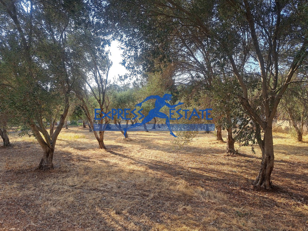 Μονοκατοικία 265 τ.μ. πρός πώληση, Αθήνα - Ανατολικά Προάστια, Μαραθώνας