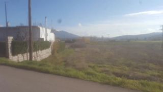 Οικόπεδο 3.539 τ.μ. για πώληση