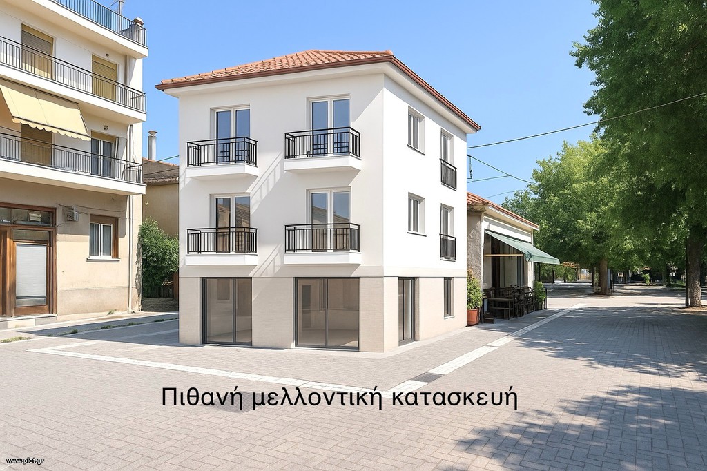 Μονοκατοικία 70 τ.μ. πρός πώληση, Ν. Λάρισας, Λάρισα