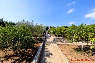 Συγκρότημα διαμερισμάτων 203 τ.μ. για πώληση, Αργολίδα, Ερμιόνη-thumb-11