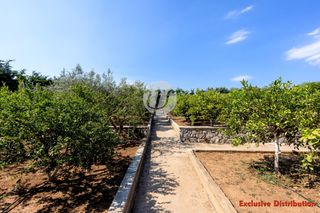 Συγκρότημα διαμερισμάτων 203 τ.μ. για πώληση, Αργολίδα, Ερμιόνη-thumb-12