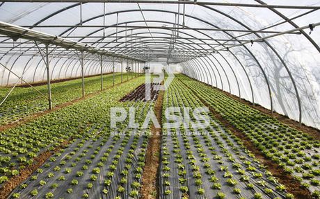 Αγροτεμάχια 6.000τ.μ. για πώληση-Μαραθώνας