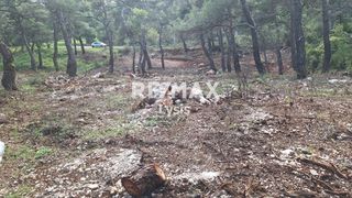 Οικόπεδο 2.000 τ.μ. για πώληση, Αττική - Υπόλοιπο, Αφίδνες-thumb-2