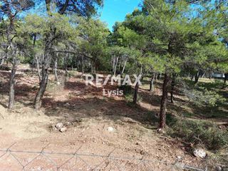 Οικόπεδο 2.000 τ.μ. για πώληση, Αττική - Υπόλοιπο, Αφίδνες-thumb-3