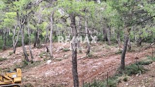 Οικόπεδο 2.000 τ.μ. για πώληση, Αττική - Υπόλοιπο, Αφίδνες-thumb-1