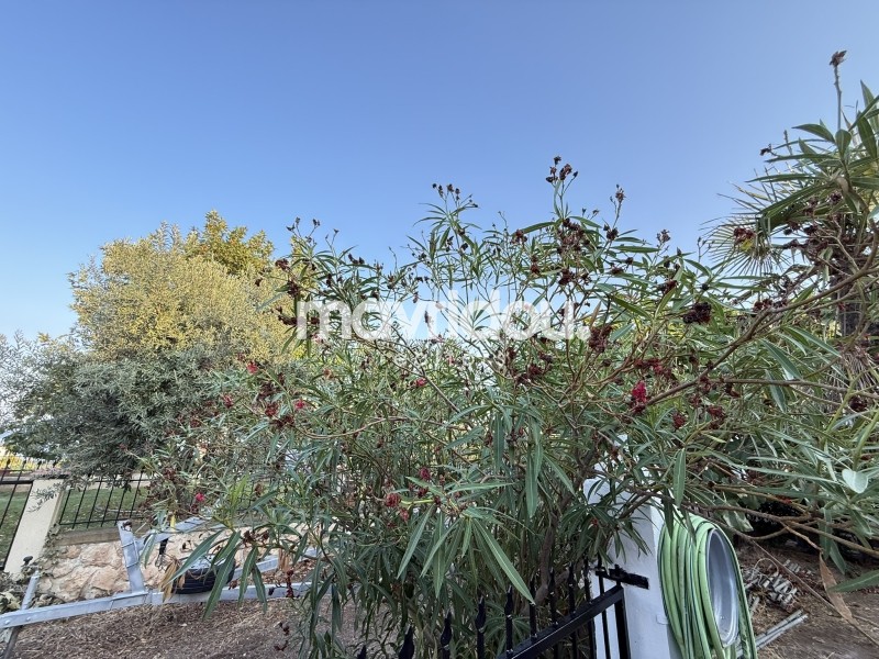 Μονοκατοικία 67,44 τ.μ. πρός πώληση, Ν. Ξάνθης, Άβδηρα