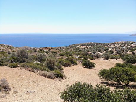 Parcel 6.000sqm for sale-Lampi » Agia Paraskevi