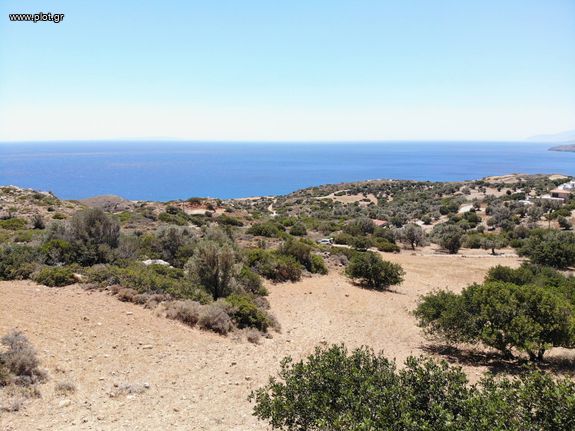 Αγροτεμάχια 6.000 τ.μ. για πώληση, Ν. Ρεθύμνου, Λάμπη