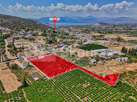 Αγροτεμάχια 13.937 τ.μ. για πώληση