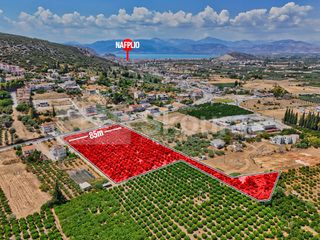 Αγροτεμάχια 13.937 τ.μ. για πώληση