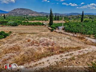Μονοκατοικία 100 τ.μ. για πώληση, Αργολίδα, Ασίνη-thumb-9