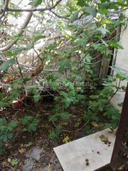 Οικόπεδο 186 τ.μ. για πώληση, Πειραιάς, Λιμάνι-thumb-7