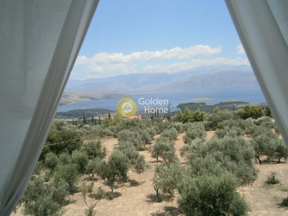 Μονοκατοικία 320 τ.μ. προς πώληση, Αψηφιά