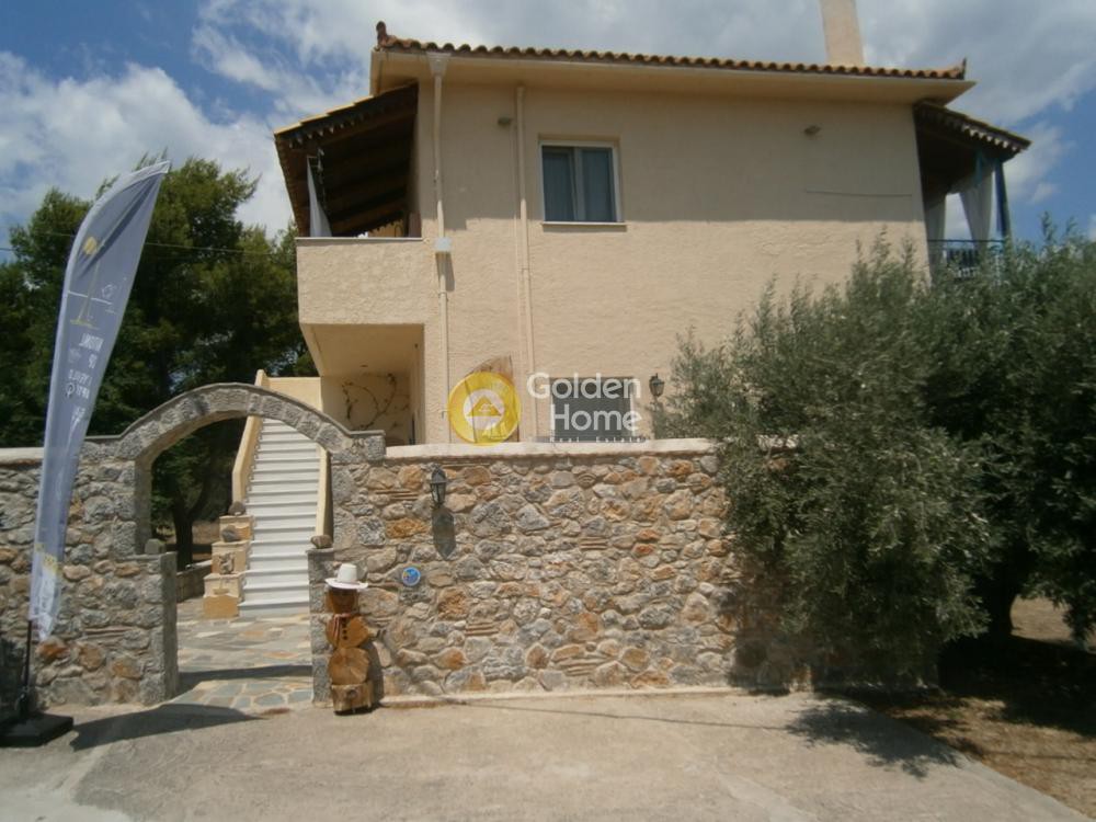 Μονοκατοικία 320 τ.μ. προς πώληση, Αψηφιά