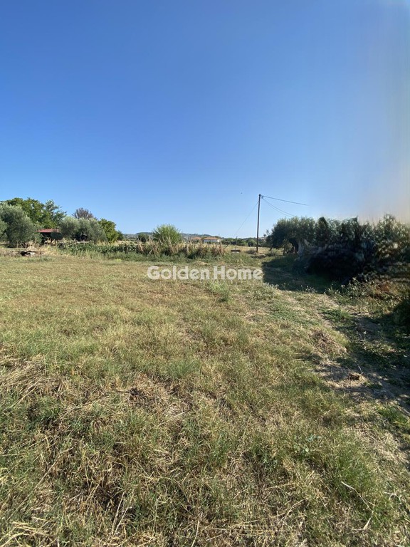 Οικόπεδο 700 τ.μ. προς πώληση, Σκάλα Φούρκας