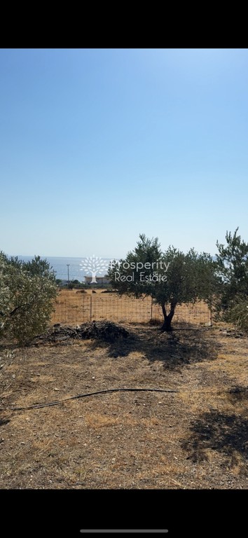 Αγροτεμάχια 10.182 τ.μ. πρός πώληση, Εύβοια, Κάρυστος