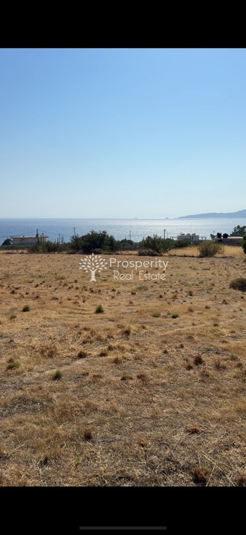 Αγροτεμάχια 10.182 τ.μ. πρός πώληση, Εύβοια, Κάρυστος