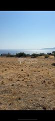 Αγροτεμάχια 10.182 τ.μ. για πώληση