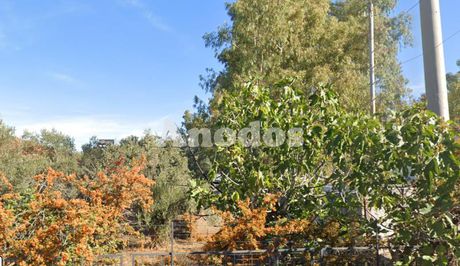Land plot 3.000sqm for sale-Koropi » Karelas