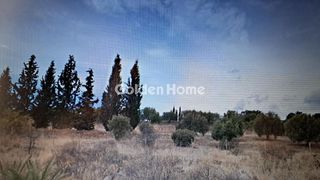 Οικόπεδο 6.681 τ.μ. για πώληση, Φωκίδα, Γαλαξίδι-thumb-3