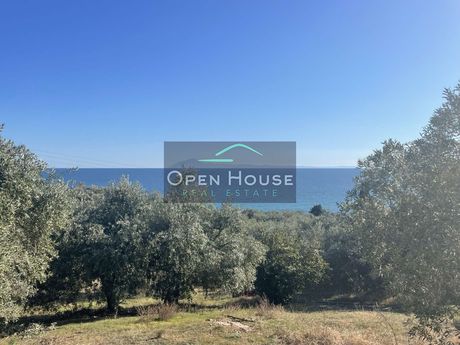 Land plot 1.500sqm for sale-Eleitheres » Paralia Elaiochoriou