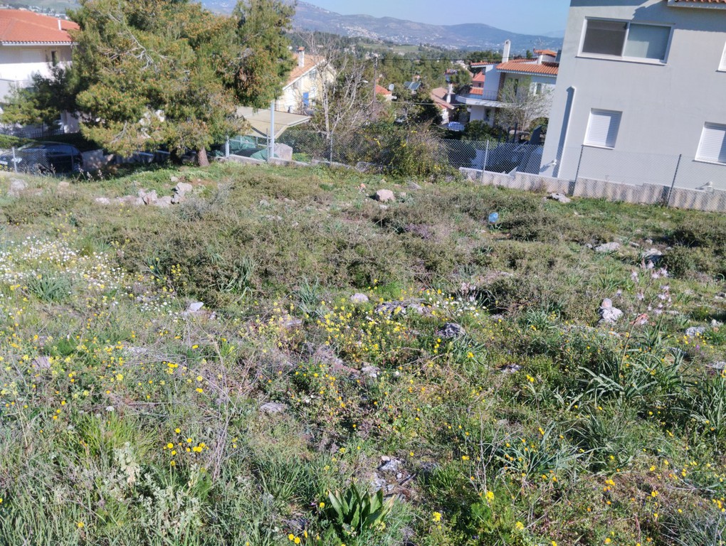 Οικόπεδο 682 τ.μ. προς πώληση, Άγιος Στέφανος