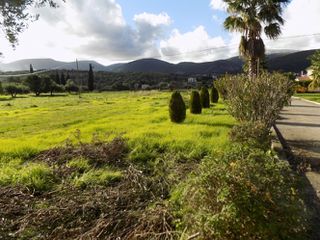 Αγροτεμάχια 10.452 τ.μ. για πώληση