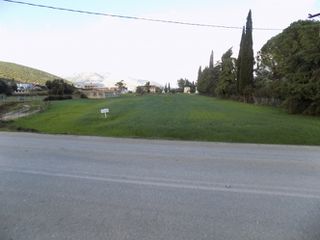 Αγροτεμάχια 8.107 τ.μ. για πώληση