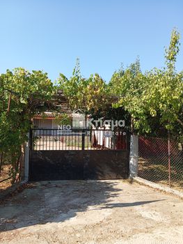 Detached home 80sqm for sale-Archaia Olimpia » Platanos