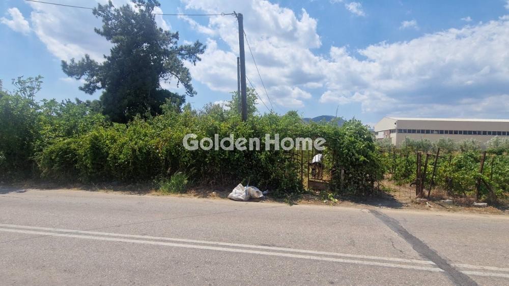 Αγροτεμάχια 2.455 τ.μ. προς ενοικίαση, Κοσμοθέα