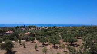 Οικόπεδο 17.082 τ.μ. για πώληση, Μεσσηνία, Γαργαλιάνοι-thumb-2