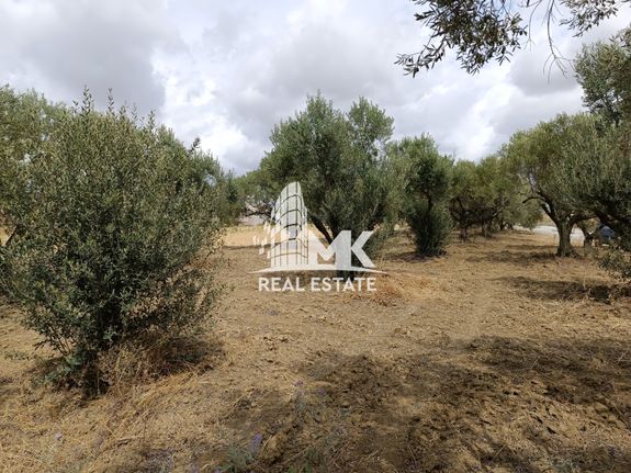 Αγροτεμάχια 8.000 τ.μ. για πώληση, Θεσσαλονίκη - Περιφ/Κοί Δήμοι, Θέρμη