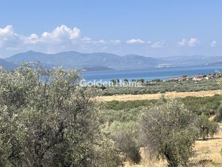 Land plot 4.200 sqm for sale