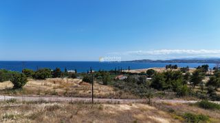 Αγροτεμάχια 4.316 τ.μ. για πώληση, Αργολίδα, Κρανίδι-thumb-17