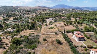 Αγροτεμάχια 4.316 τ.μ. για πώληση, Αργολίδα, Κρανίδι-thumb-20