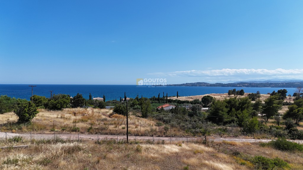 Αγροτεμάχια 4.316 τ.μ. προς πώληση, Πετροθάλασσα
