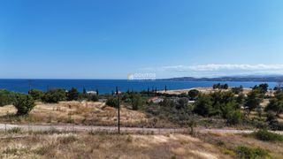 Αγροτεμάχια 4.316 τ.μ. για πώληση, Αργολίδα, Κρανίδι-thumb-1