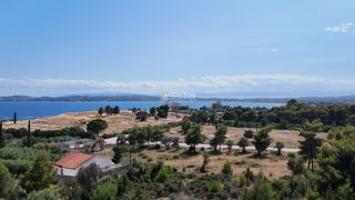 Αγροτεμάχια 4.316 τ.μ. για πώληση, Αργολίδα, Κρανίδι-thumb-18