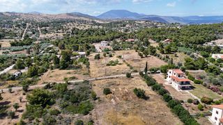 Αγροτεμάχια 4.316 τ.μ. για πώληση, Αργολίδα, Κρανίδι-thumb-12