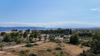 Αγροτεμάχια 4.316 τ.μ. για πώληση, Αργολίδα, Κρανίδι-thumb-15