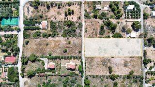 Αγροτεμάχια 4.316 τ.μ. για πώληση, Αργολίδα, Κρανίδι-thumb-8