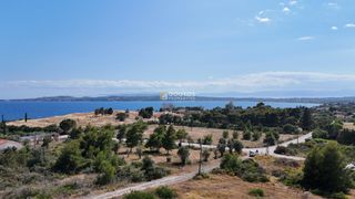 Αγροτεμάχια 4.316 τ.μ. για πώληση, Αργολίδα, Κρανίδι-thumb-21