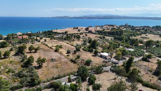 Αγροτεμάχια 4.316 τ.μ. για πώληση, Αργολίδα, Κρανίδι-thumb-19