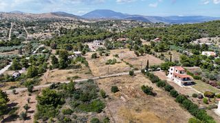 Αγροτεμάχια 4.316 τ.μ. για πώληση, Αργολίδα, Κρανίδι-thumb-2