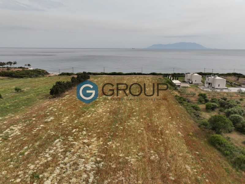 Οικόπεδο 11.700 τ.μ. για πώληση, Εβρος, Αλεξανδρούπολη