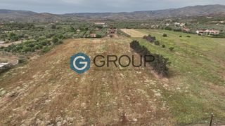 Οικόπεδο 11.700 τ.μ. για πώληση, Εβρος, Αλεξανδρούπολη-thumb-2