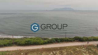 Οικόπεδο 11.700 τ.μ. για πώληση, Εβρος, Αλεξανδρούπολη-thumb-6